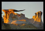 Bisti Badlands