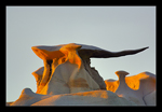 Bisti Badlands