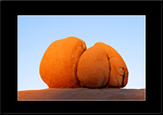 Apple Face Rock - Joshua Tree National Park - Arizona - Etats-Unis