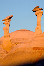Photographe USA
