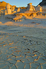 Photographe USA
